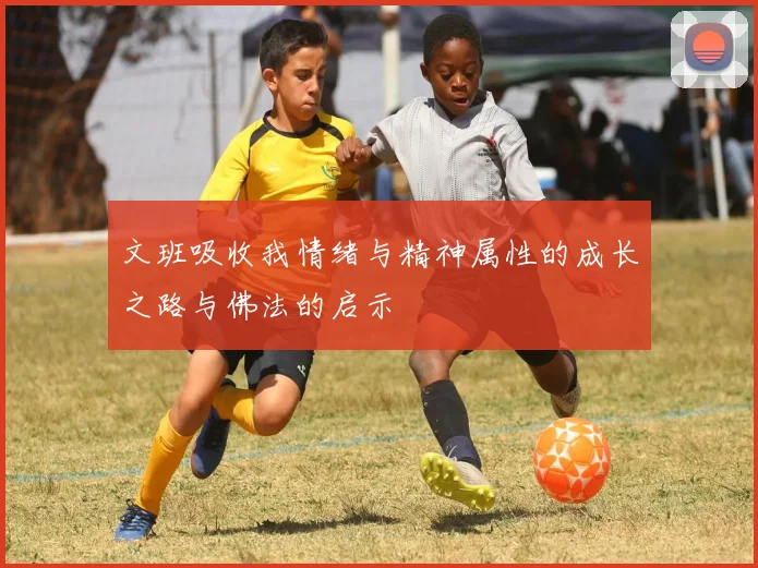 文班吸收我情绪与精神属性的成长之路与佛法的启示